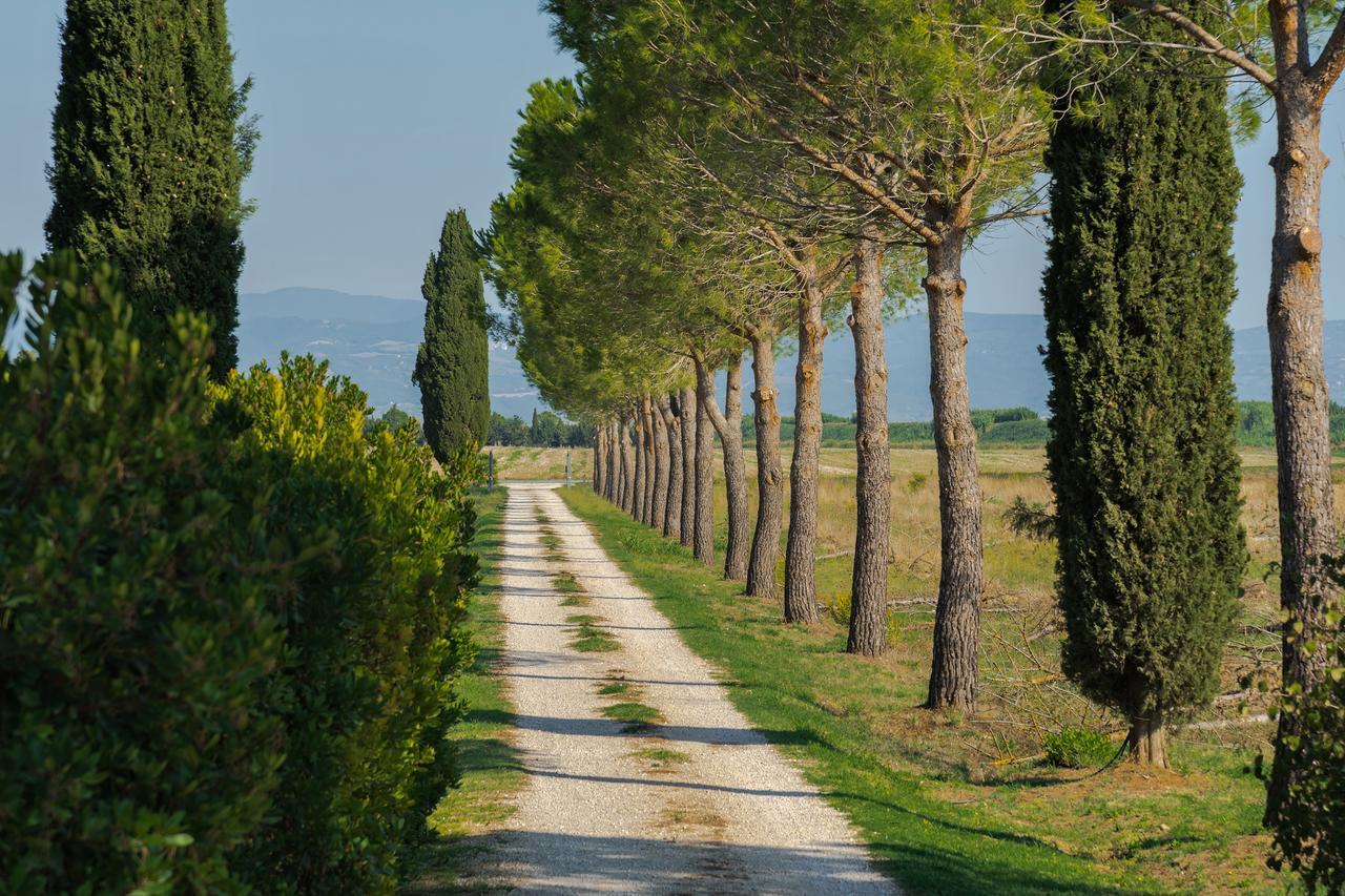 Agriturismo Bandinelli Braccagni エクステリア 写真
