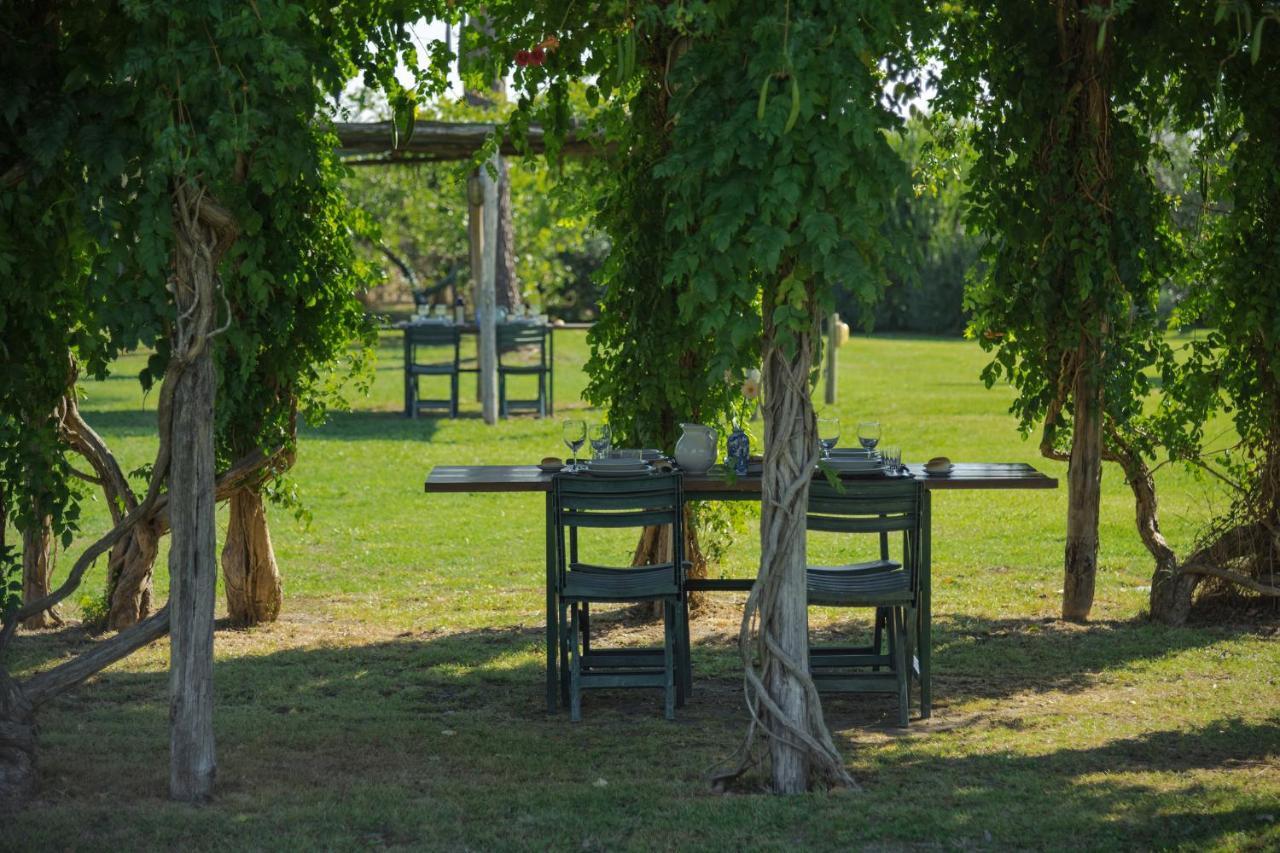 Agriturismo Bandinelli Braccagni エクステリア 写真