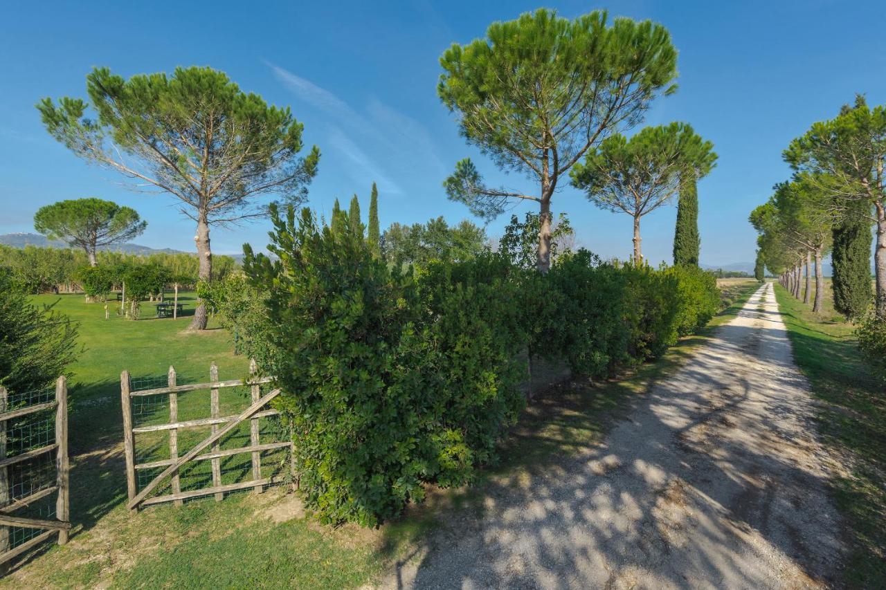 Agriturismo Bandinelli Braccagni エクステリア 写真